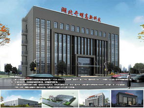 解碼鄂州隱形冠軍 開明科技如何以新聞服務(wù)撬動(dòng)全球市場(chǎng)